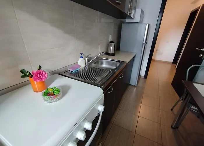 Ama Ama & Free Parking Apartament *